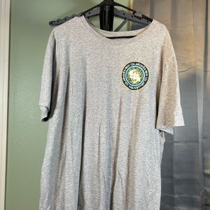 Gray Graphic T-Shirt